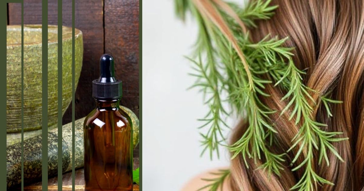 use rosemary oil for hair
