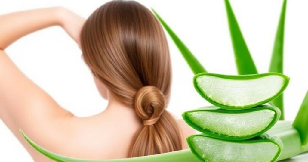 Aloe Vera for Hair