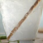 Aloe Vera Juice Benefits