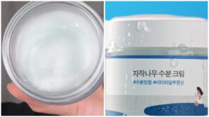 Round Lab Birch Juice Moisturizing Cream