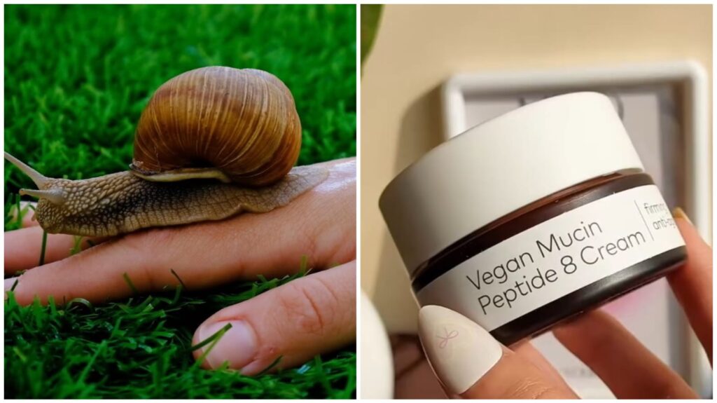 Vegan Mucin